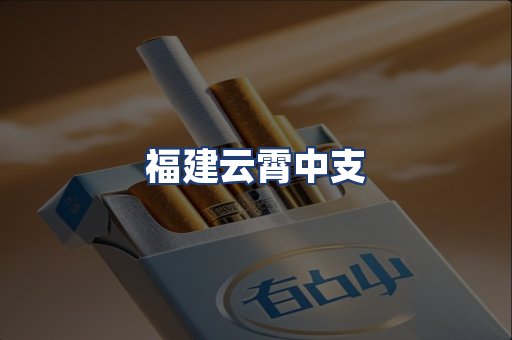 福建云霄中支